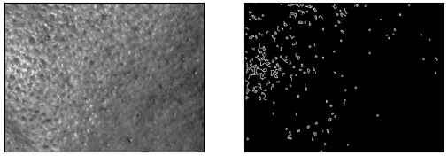 Figure 24