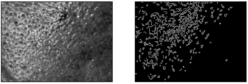 Figure 25