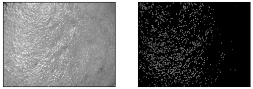 Figure 43